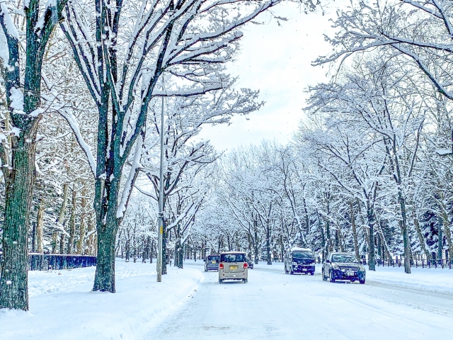 雪国でおすすめの軽自動車